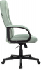 Кресло руководителя Бюрократ T-898, обивка: ткань, цвет: зеленый (T-898/407-GREEN)