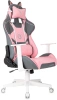 Кресло игровое Knight Catzy, обивка: экокожа, цвет: серый/розовый (KNIGHT CATZY) от магазина Buro.store